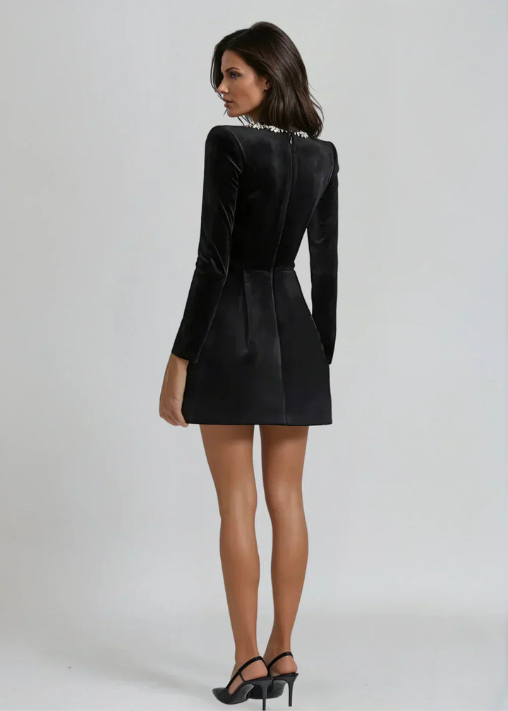 Danelisse - Elegant Casual Mini Dress